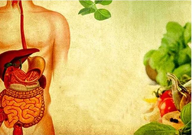 PANCHAKARMA THERAPIES : VAMAN