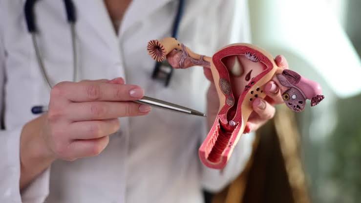 स्त्रीरोग विभाग