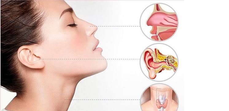 कान, नाक आणि घसा (ईएनटी)