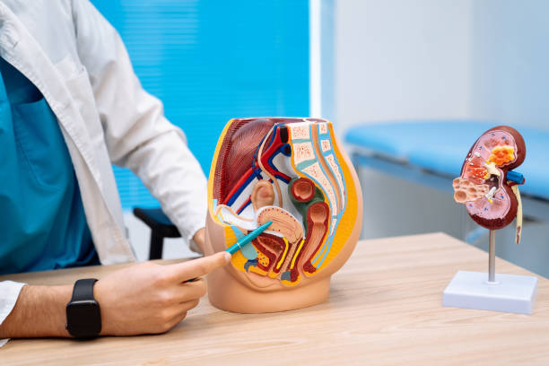 UROLOGY