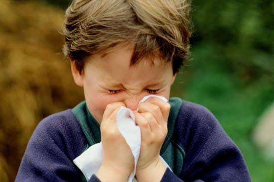PADIATRIC ALLERGY