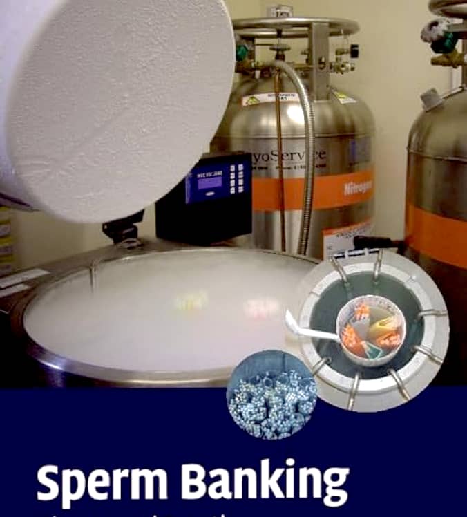 Sperm Banking