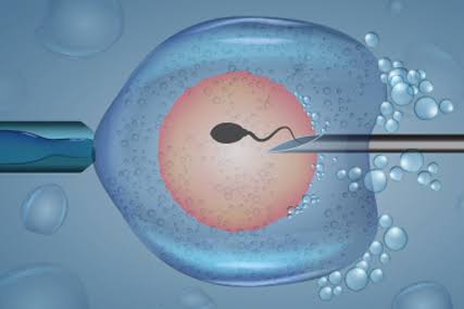 आई. व्ही. एफ (IVF) संबंधित मार्गदर्शन