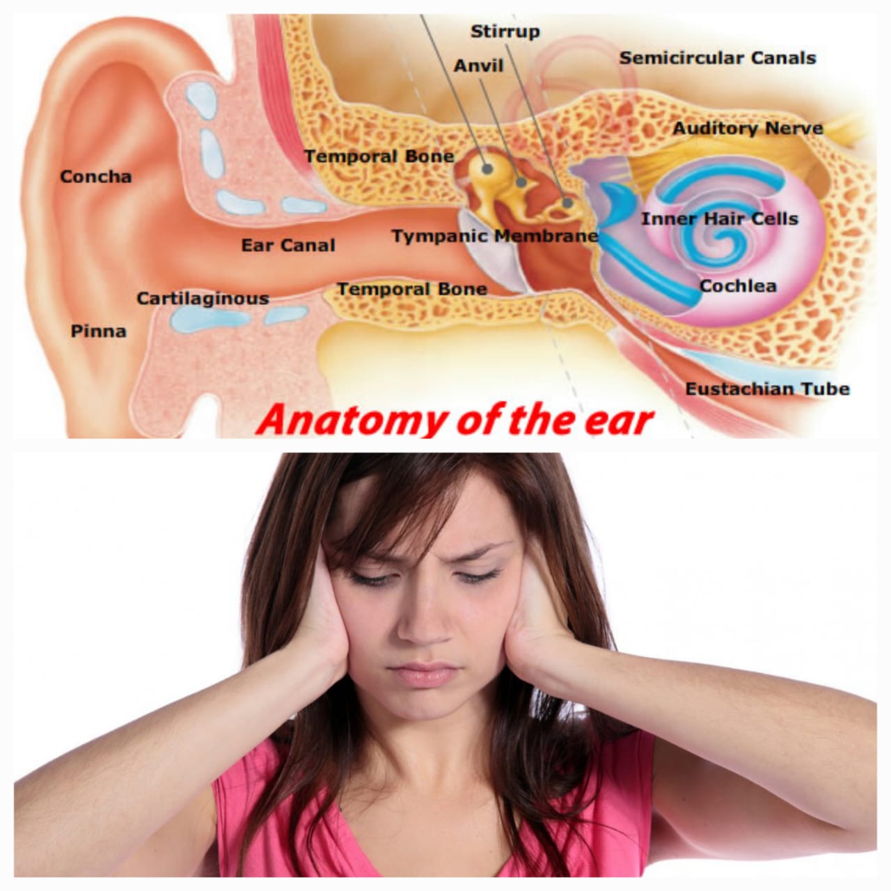 कानात आवाज येणे - टिनिटस
